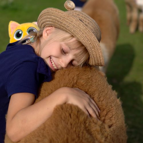 Gdy osaczy cię alpaka, oczy spuść i daj drapaka